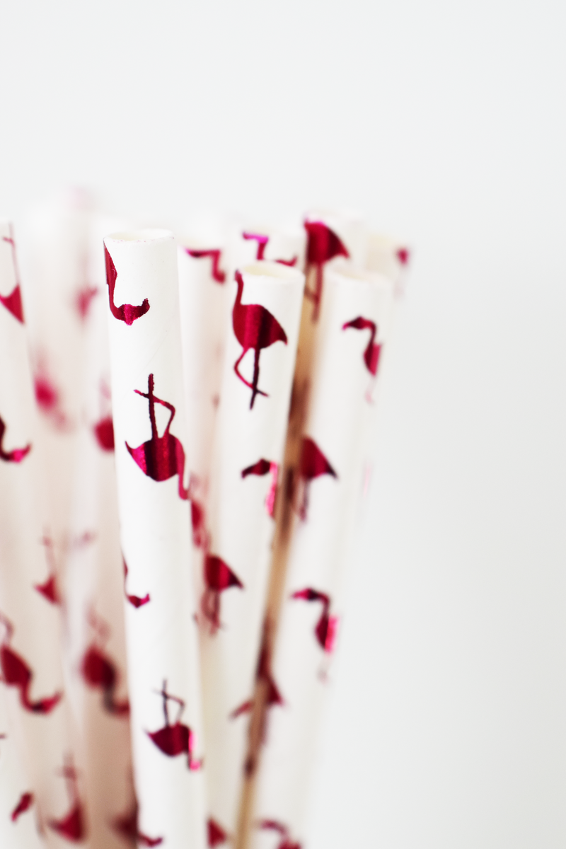 Pink Foil Flamingo Paper Straws - 25 Pieces – TheCloudFactory