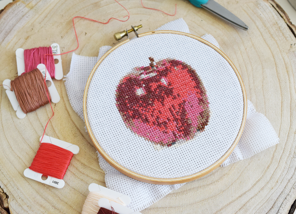 Apple Cross Stitch Craft Kit DIY Materials Included Intermediate aida hoop pattern, thread, cloth, needle