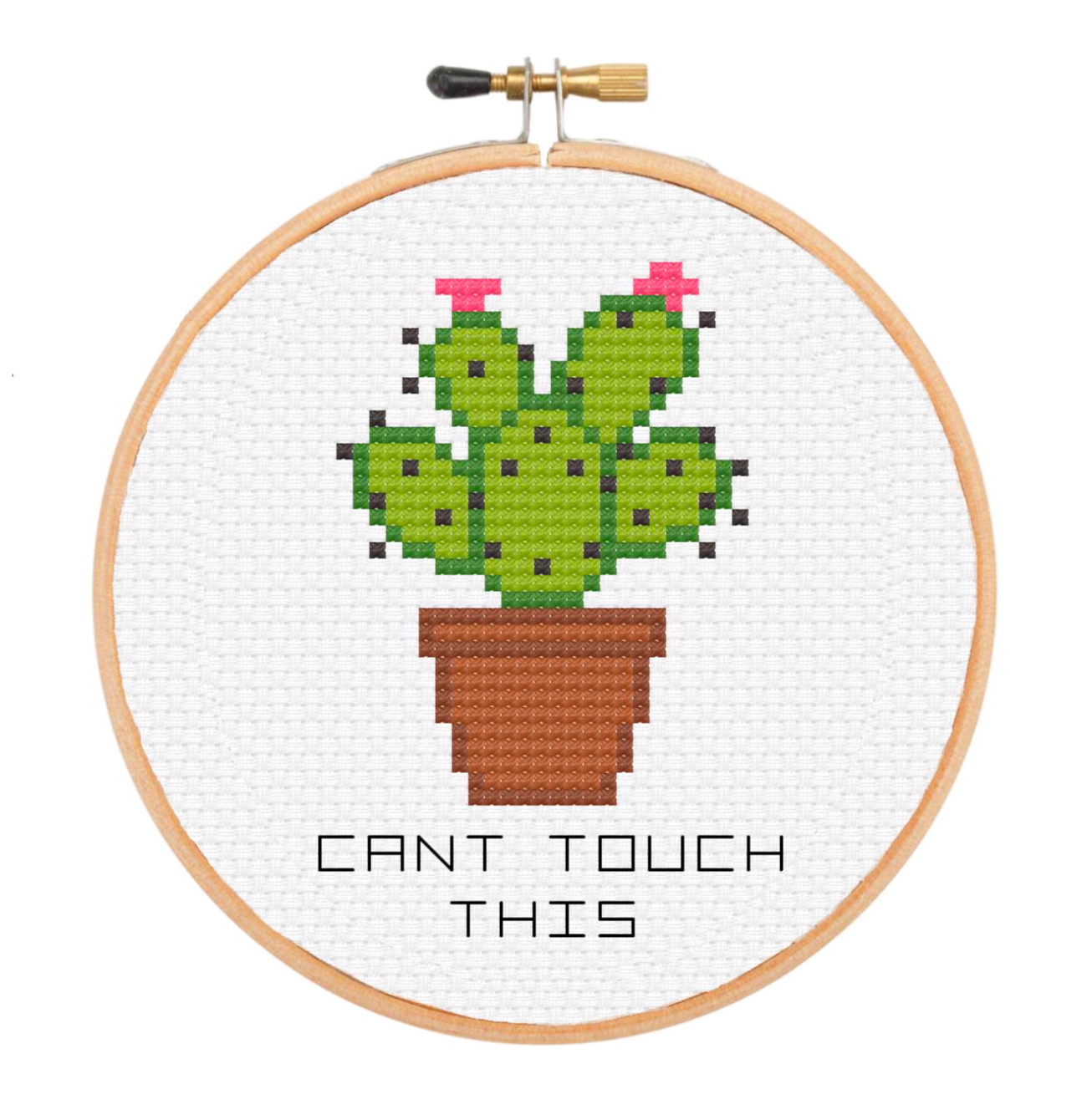 Can't Touch This Cactus